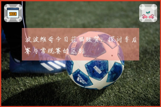 波波维奇今日莅临致贺，探讨季后赛与常规赛的区别
